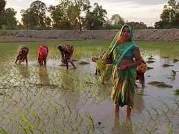 बारिश के लिए गांव वालों का अनोखा तरीका