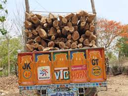 अवैध रूप से लकड़ी चिरान का भंडाफोड़