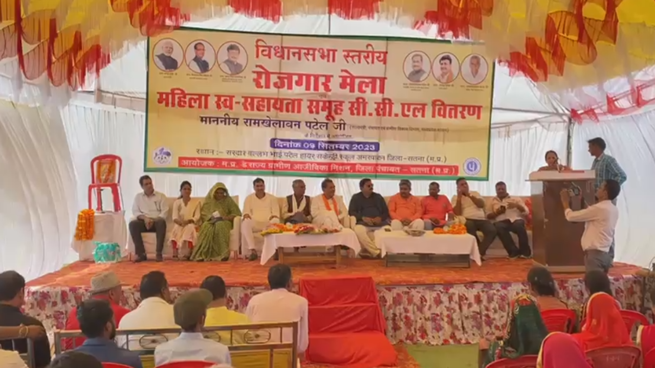 अमरपाटन में लगा रोजगार मेला