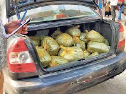 पचास किलो गांजा पकड़ा गया