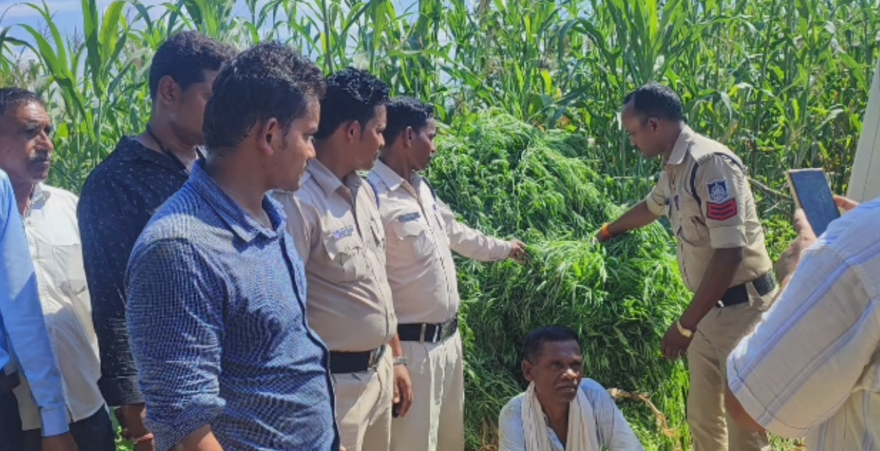 पुलिस ने व्यक्ति को अवैध गांजे के साथ पकडा