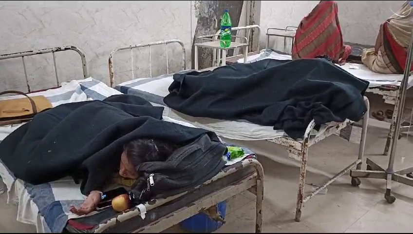 मधुमक्खी के झुंड ने लोगों पर किया हमला