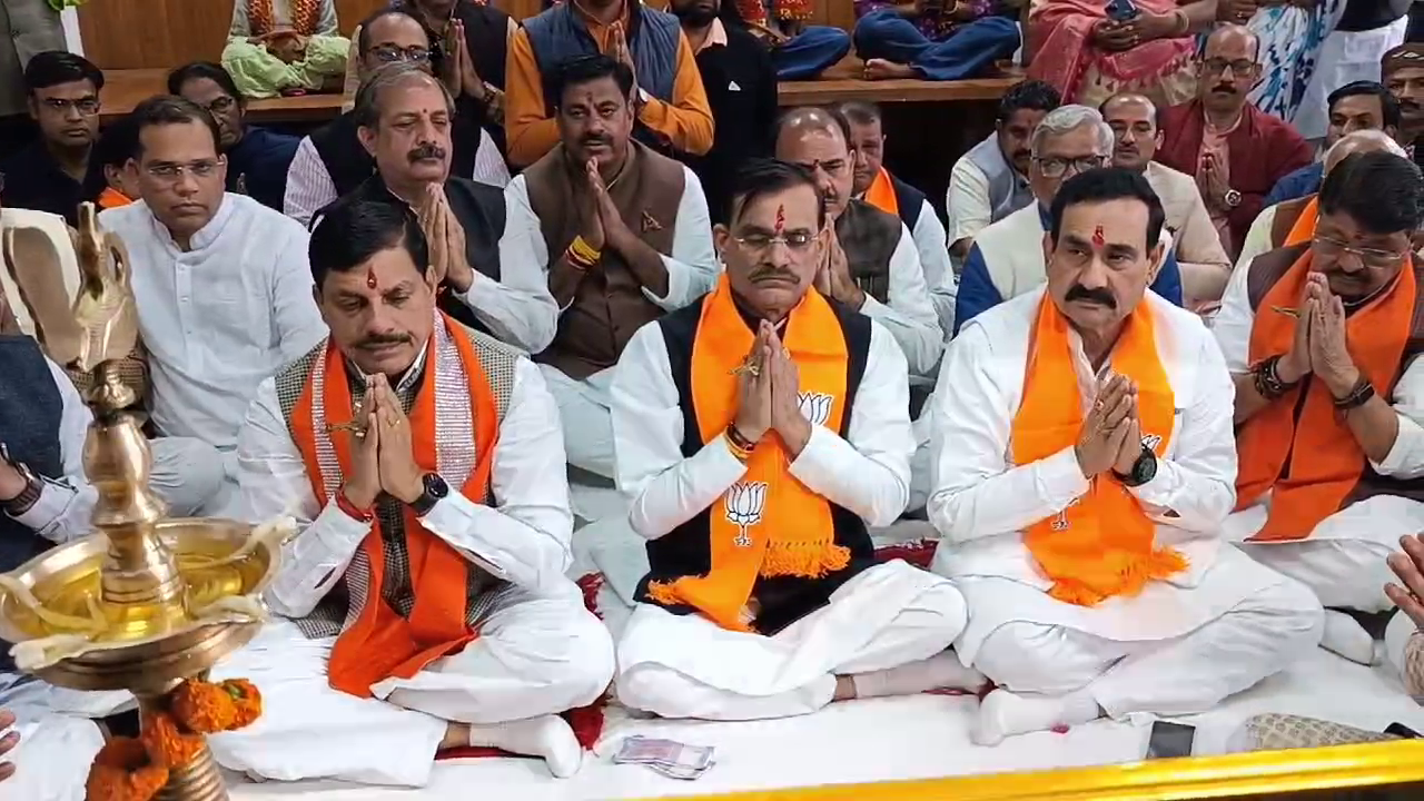 भाजपा का 29 सीटें जीतने का दावा 