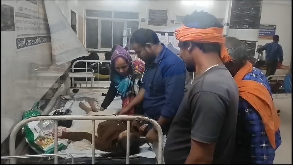 पशु से टकराया विदेश पर्यटक 