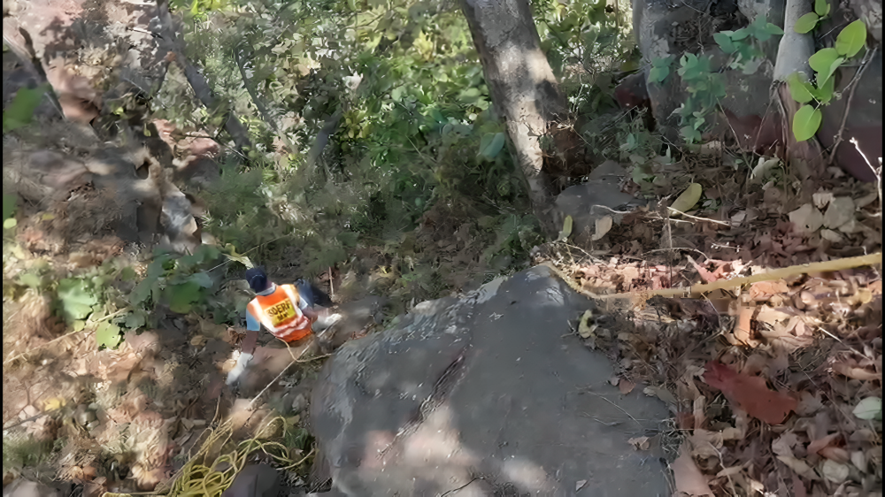 महुआ बीनने गई महिला खाई में गिरी 