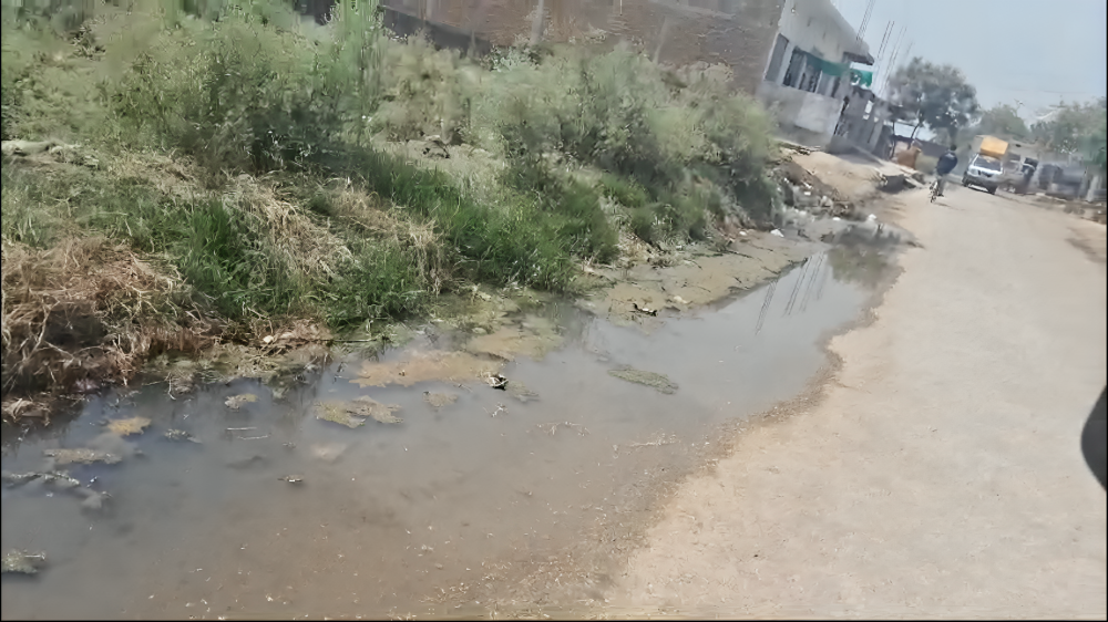 स्वच्छ भारत को धूमिल करती ग्राम पंचायत सरसई 