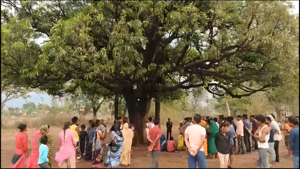 बारिश से हजारों क्विंटल गेहूं हुआ खराब 