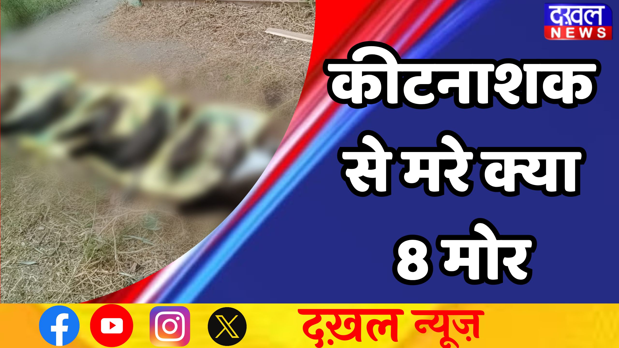 मध्य प्रदेश