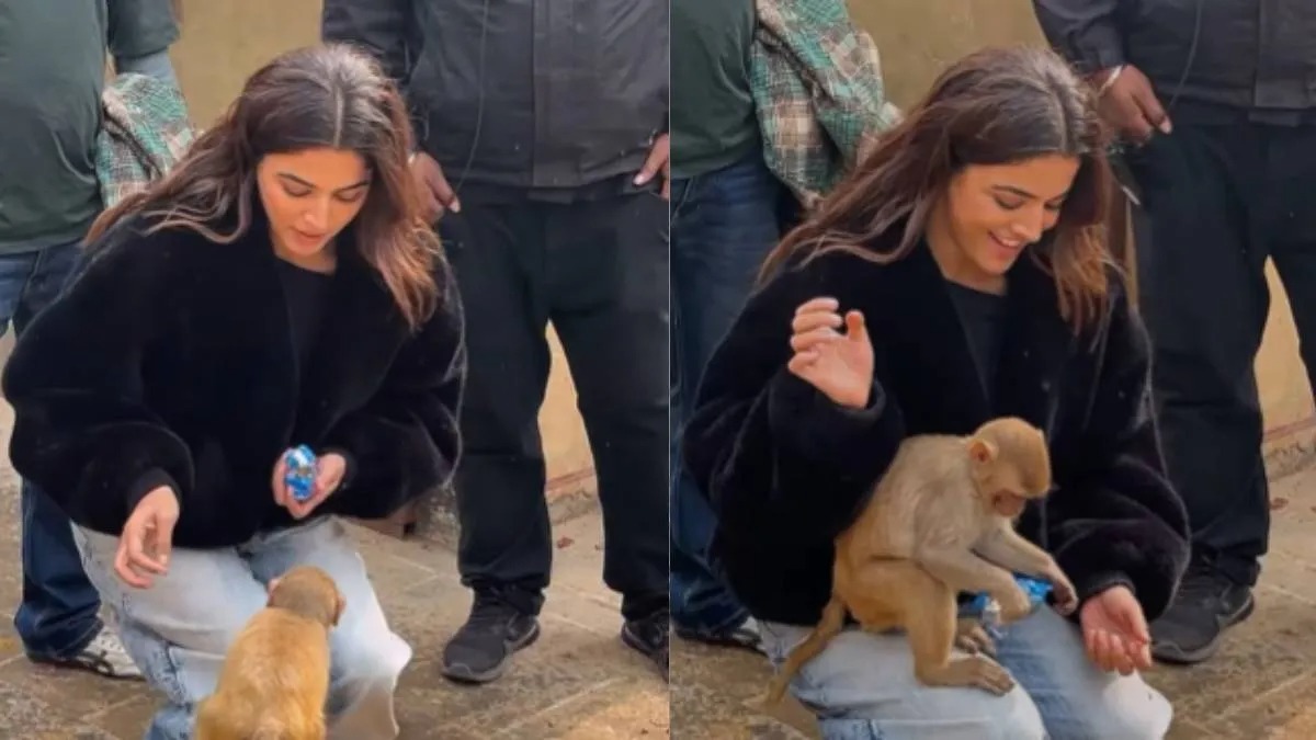 वामिका गब्बी