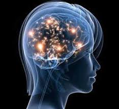 bhopal, Wisdom, Tool of Knowledge