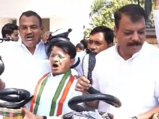 bhopal, Congress MLA, arrived with a snake