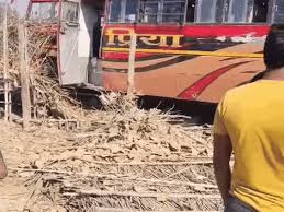 singroli,   speeding bus, ran over a woman