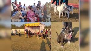rewa, Dog show , first time 