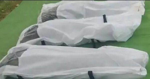 raipur, Encounter ,three Naxalites recovered