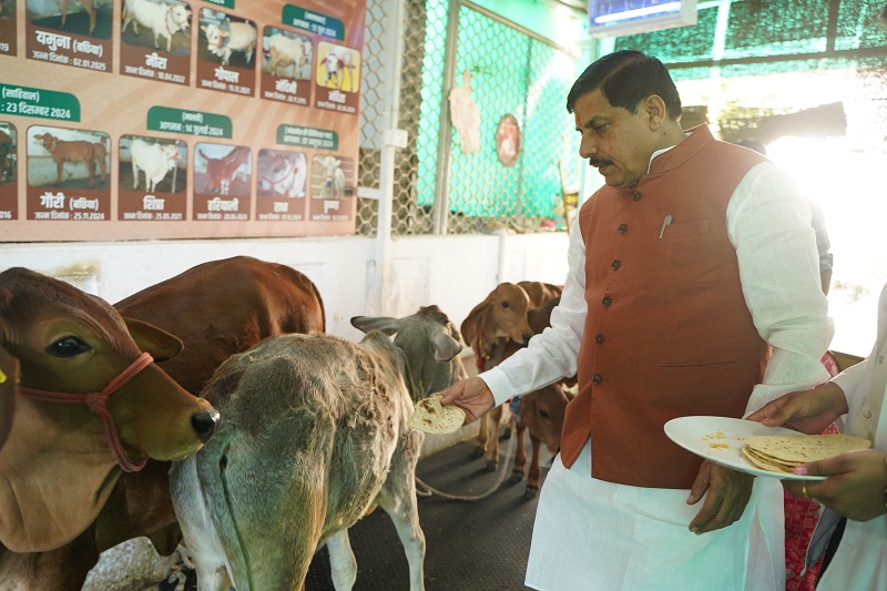 bhopal,  Chief Minister ,Madhya Pradesh 