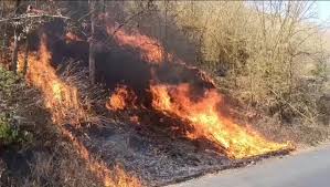 amarpatan, Fire in the forest, Gorsari mountain