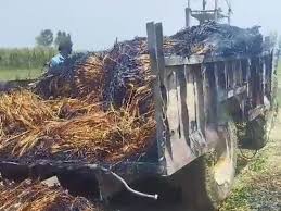 bhopal, Crop burnt , short circuit