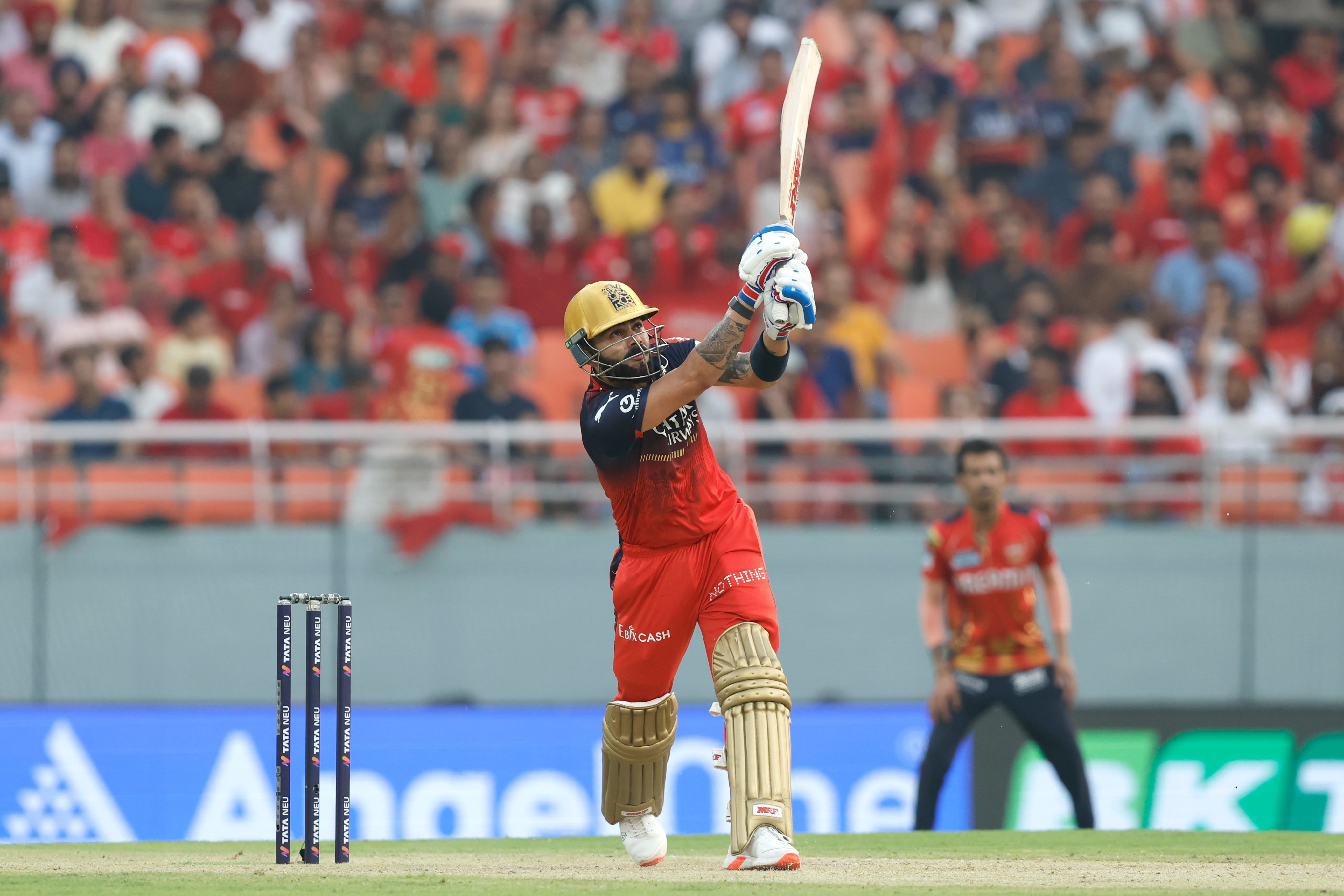 chandigarh, IPL 2025, Bangalore beat Punjab  