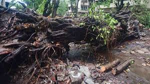 chatarpur, Two people died , storm