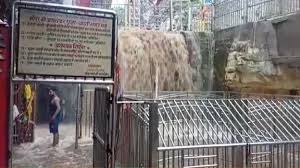 chatarpur, Heavy rain, Jatashankar Dham