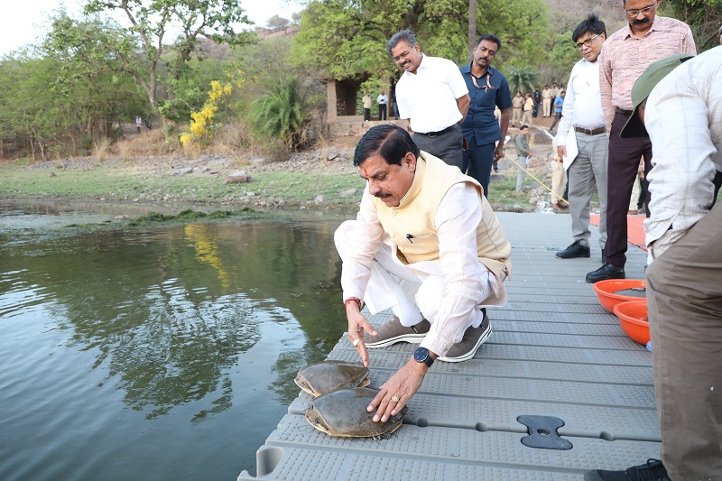 bhopal, Chief Minister, released turtles 
