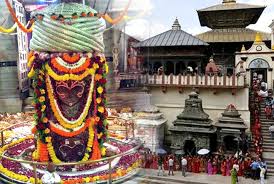 mandsour, Drone operations banned , Pashupatinath Temple
