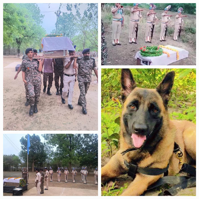 sukma, CRPF jawans,Chhattisgarh  