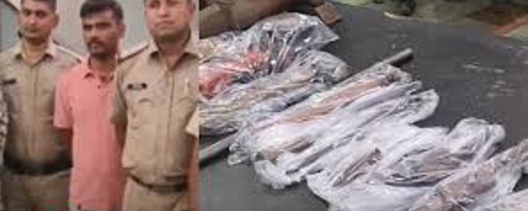 chatarpur, Illegal arms factory ,found in house