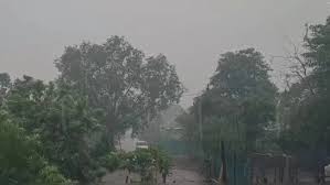 bhopal, Trees uprooted in MP, strong storm in Rajasthan