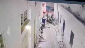 chatarpur,   increasing vagrancy , bulls picked up  