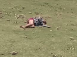 bhander, Collectorate employee, committed suicide