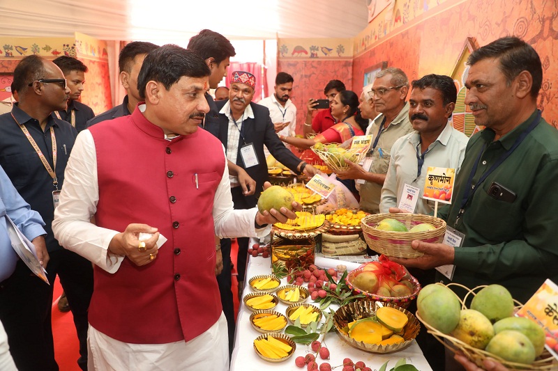 bhopal, Chief Minister , "Mango Festival" 