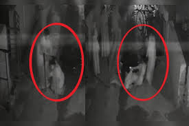 gwalior, Teaching a lesson , drunkard proved costly 