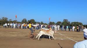 dewas,   huge crowd gathered, bullock cart race
