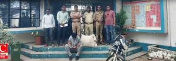 dewas, Big action , smugglers 