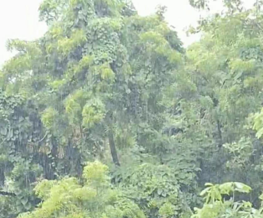 bhopal, Monsoon,agriculture and farmers