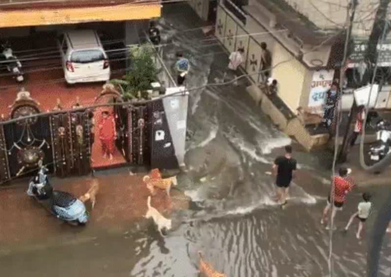 raipur, Red alert , rain for Rajnandgaon