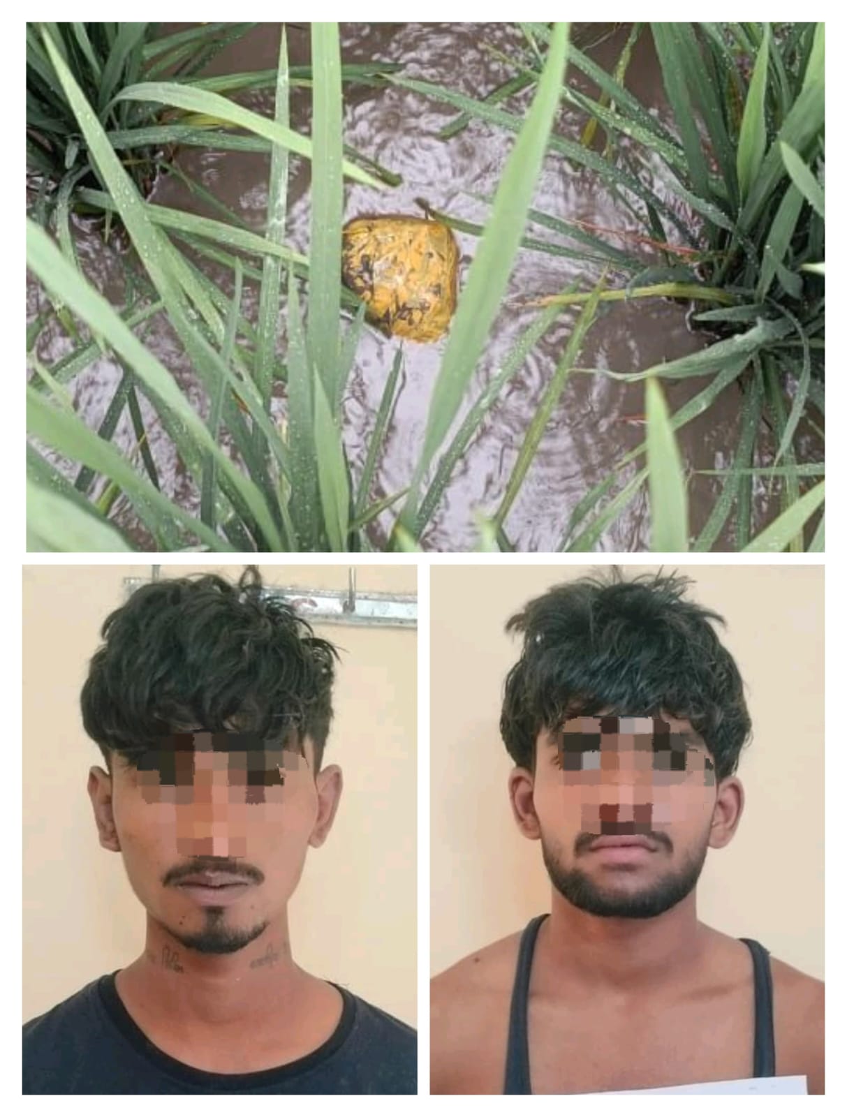 chandigarh, BSF arrested ,two smugglers  