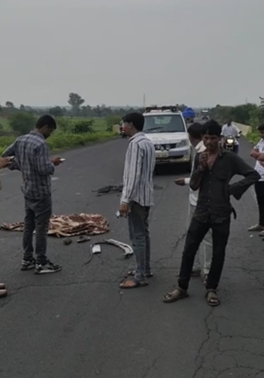 rajgarh,Elderly woman dies , high-speed car