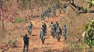 raipur, Naxalite killed, encounter in Bijapur 