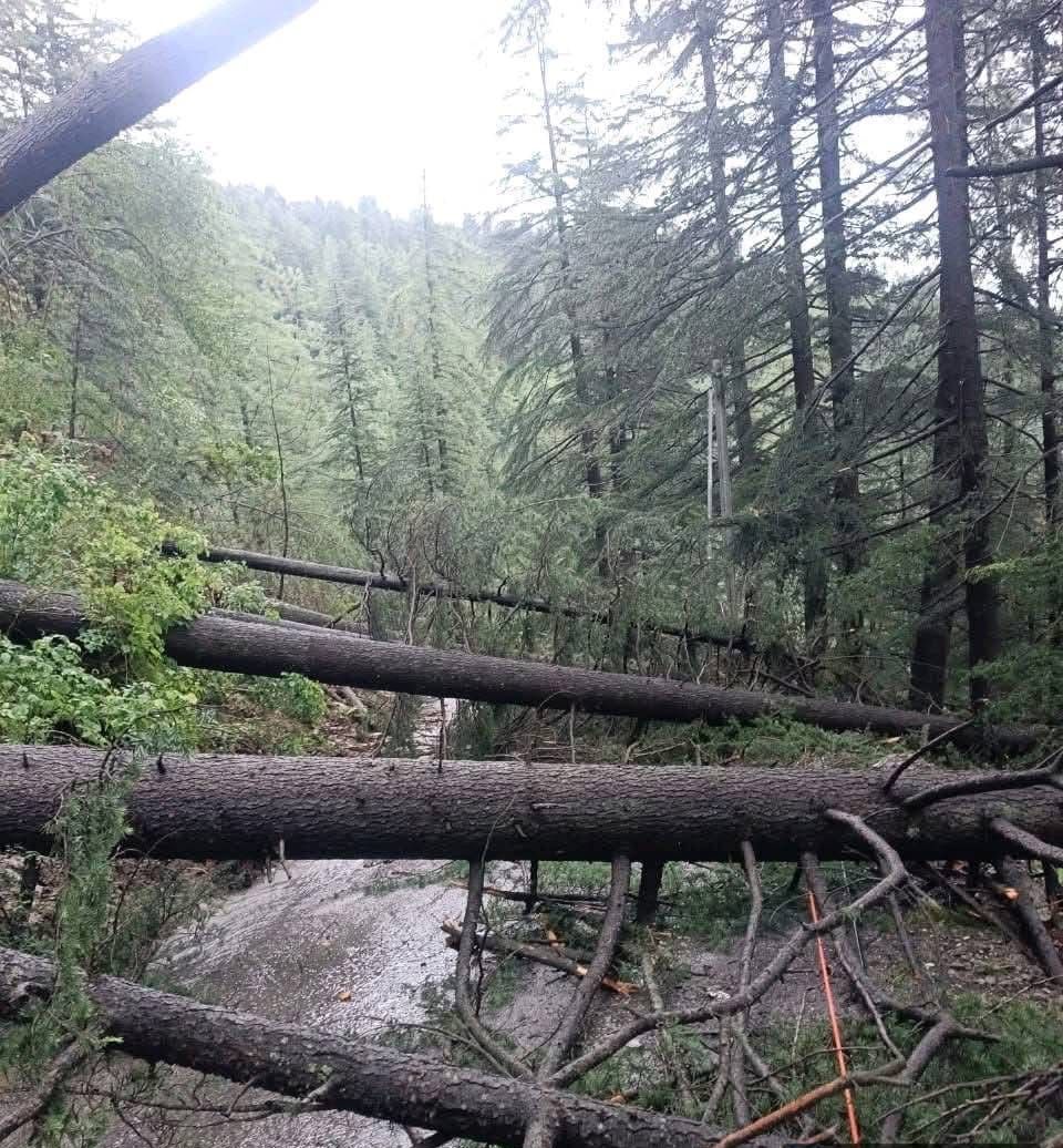 shimla, Clouds caused, havoc in Himachal