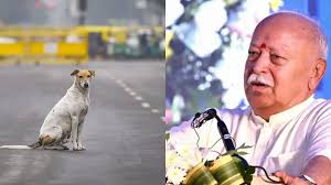 new delhi, Mohan Bhagwat, big statement  