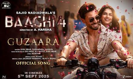 mumbai, Tiger and Harnaaz,pair spread their magic