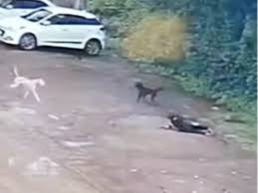 khargon, girl was attacked,shop