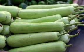 mumbai, Bottle gourd,boon for health