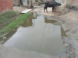 gwalior, People are getting troubled , sewer overflow