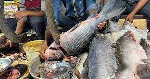 khandwa, Two people were attacked , suspicion of stealing fish