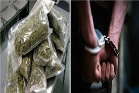 dewas, Police arrested, five ganja smugglers
