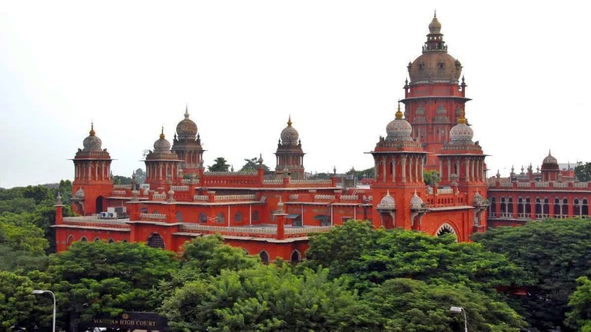chennai,  Tamil Nadu High Court , Vijay