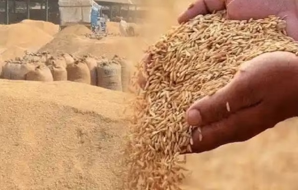 bhopal, 8 lakh 53 thousand 911 farmers, support price